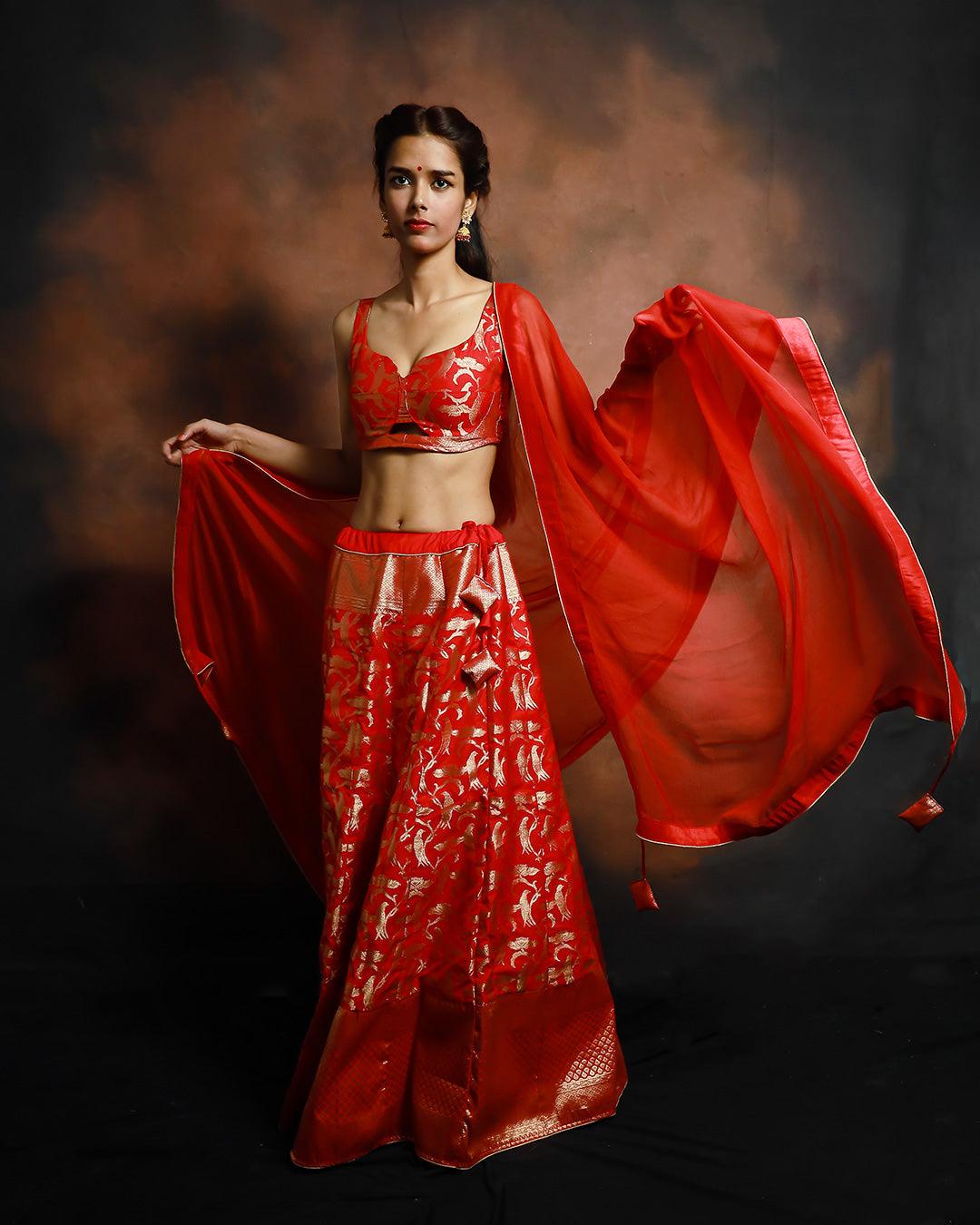 Banarasi Silk Red Lehenga Set Shikargah Bird Jaal Motif - SILKFAB