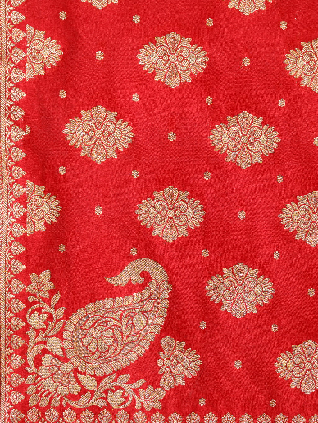 Silkfab Women Banarasi Silk Saree Khaddi Floral Konia Red - SILKFAB